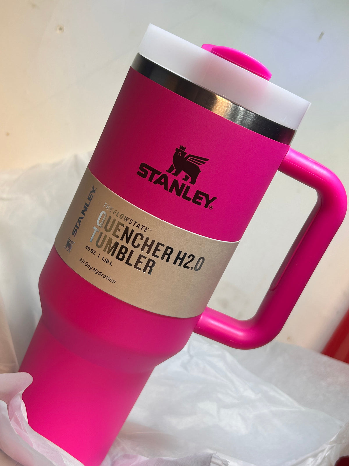 Stanley Quencher H2O